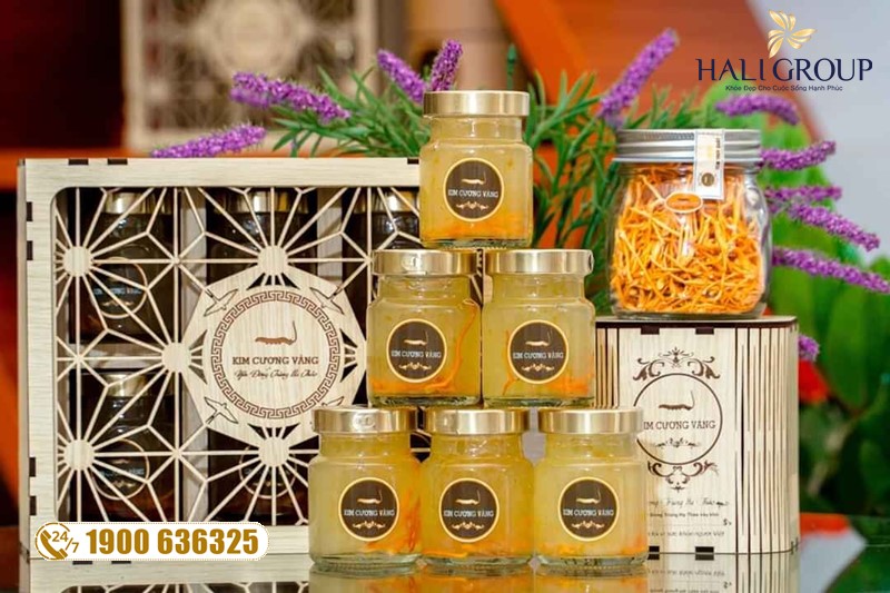 Đông trùng hạ thảo Kim Cương Vàng - dược phẩm chăm sóc sức khỏe cực tốt