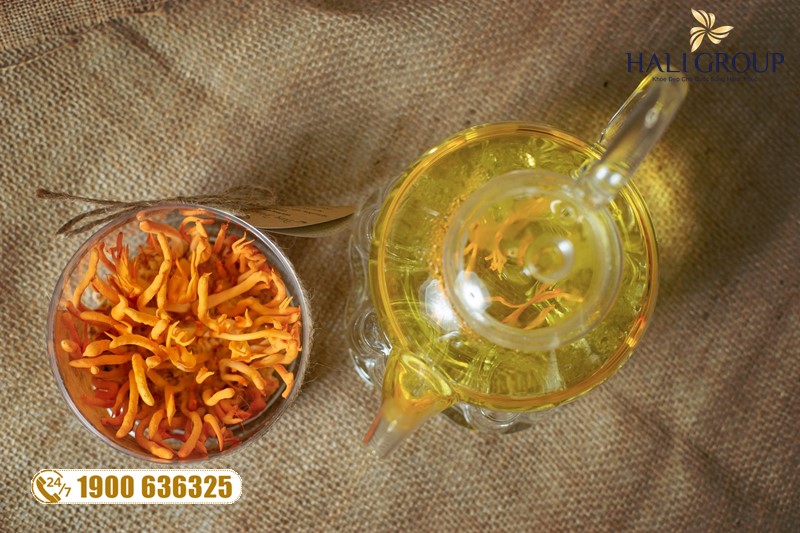 Nhà cung cấp khô đông trùng hạ thảo Kim Cương Vàng sinh khối hộp 10g của Tiến Luật