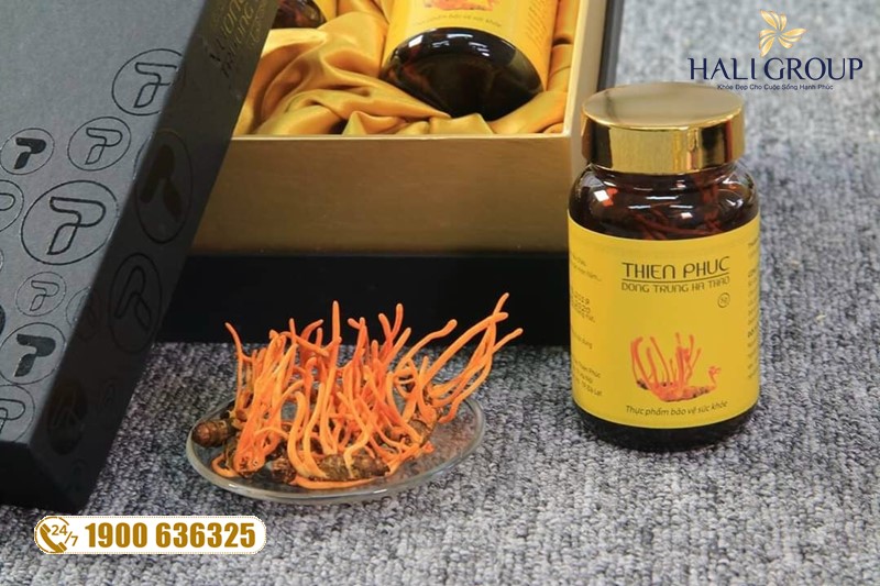 Đại lý bán đông trùng hạ thảo nguyên con Thiên Phúc chính hãng