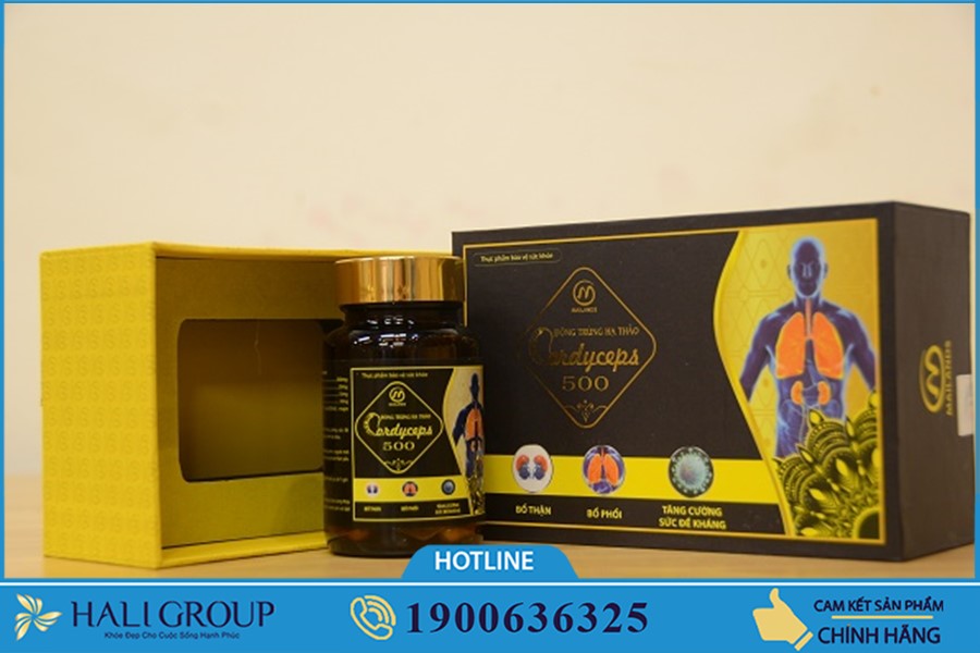Viên Nang Đông Trùng Hạ Thảo 500 Mailands - thực phẩm "vàng" cho sức khỏe của bạn