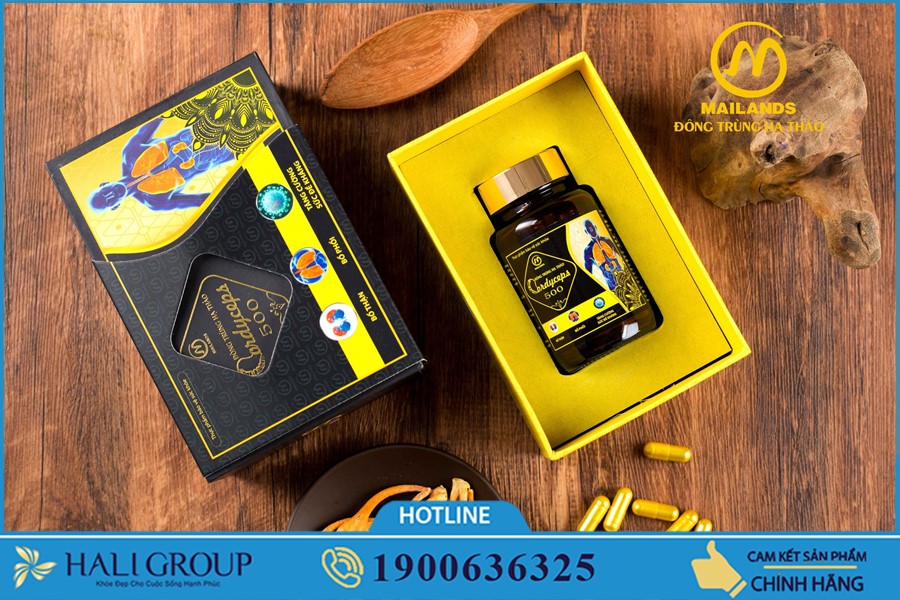 Đại lý phân phối Đông Trùng Hạ Thảo Mailands ở TP HCM