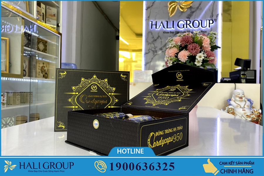Đông Trùng Hạ Thảo Cordyceps 950 - sản phẩm tuyệt vời cho những ai đang cần bồi bổ cơ thể
