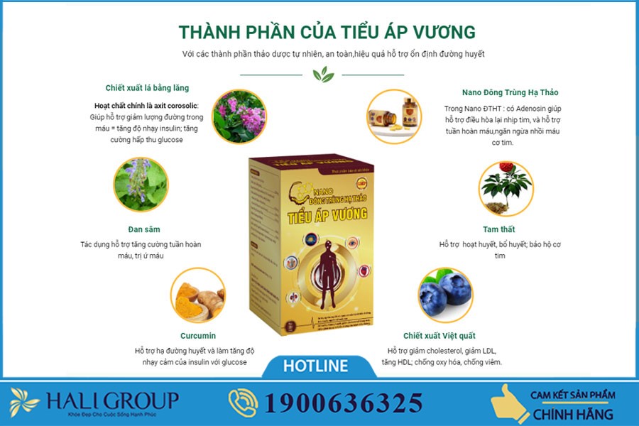 Tiểu Áp Vương Đông Trùng Hạ Thảo - sản phẩm tuyệt vời cho những người cần hỗ trợ điều trị bệnh huyết áp