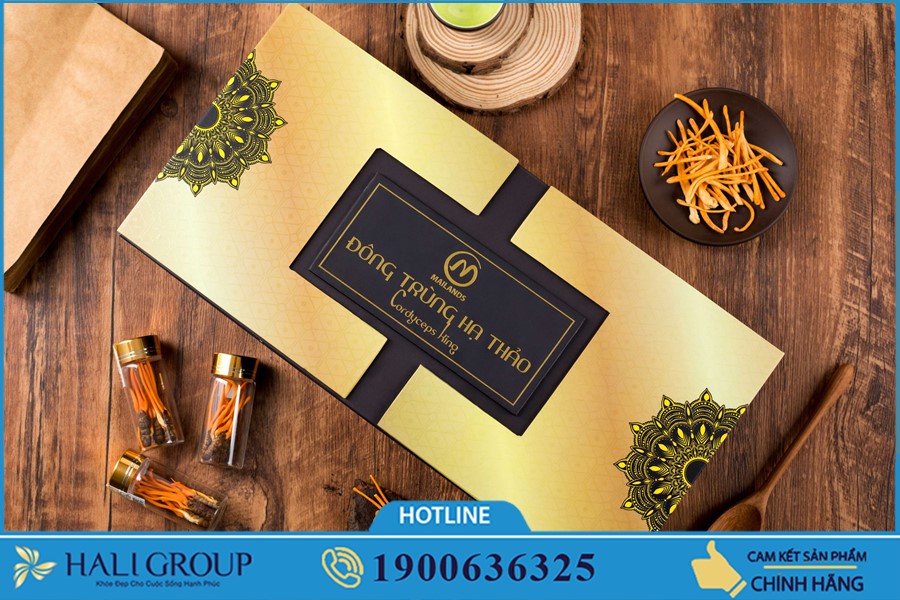 Bán lẻ Nhộng Đông trùng hạ thảo Cordyceps King trên cả nước