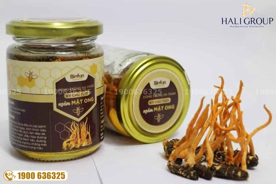 Dược phẩm tăng cường sức Biofun Đông Trùng Hạ Thảo: đơn vị cung cấp đông trùng hạ thảo uy tín hiện nay
