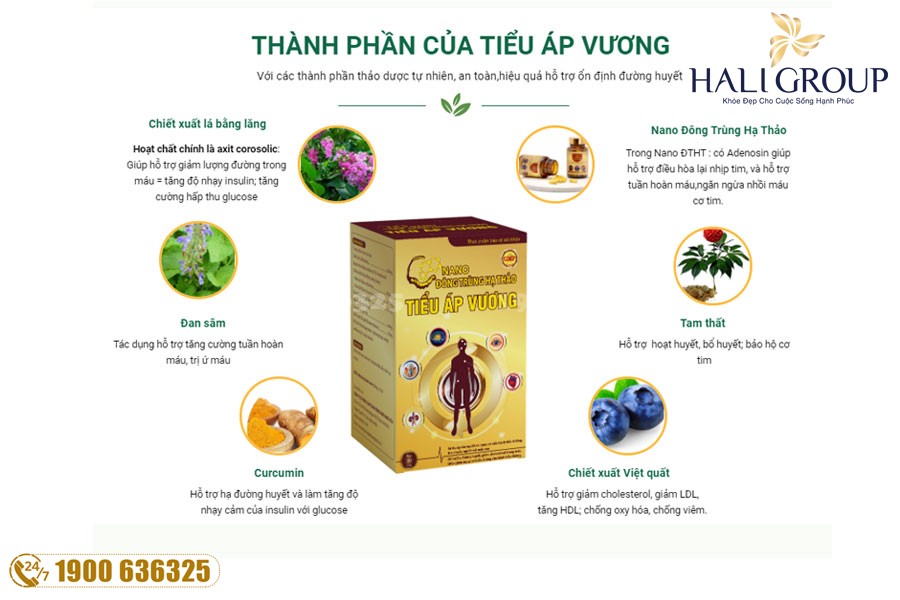 Những bài thuốc và thương hiệu đông trùng hạ thảo hỗ trợ ổn định huyết áp hàng đầu trên thị trường hiện nay