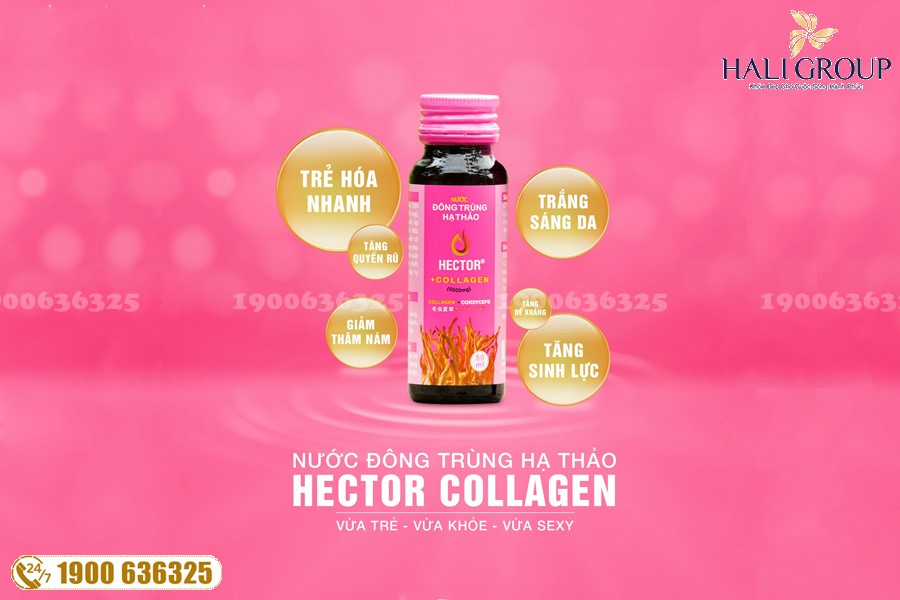 Hector Collagen - sản phẩm tuyệt vời cho người đang cần bồi bổ sức khỏe