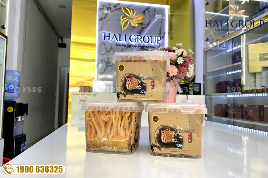 Bồi bổ cơ thể hiệu quả với đông trùng hạ thảo tươi