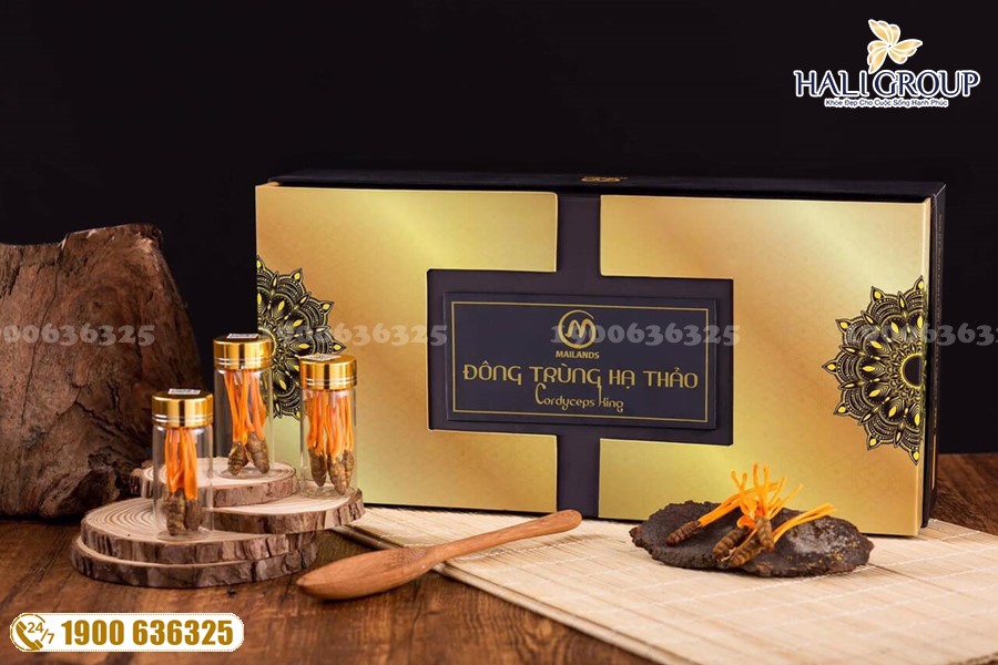 Phân tích về ưu – nhược điểm của nhộng ĐTHT so với những dạng đông trùng hạ thảo khác